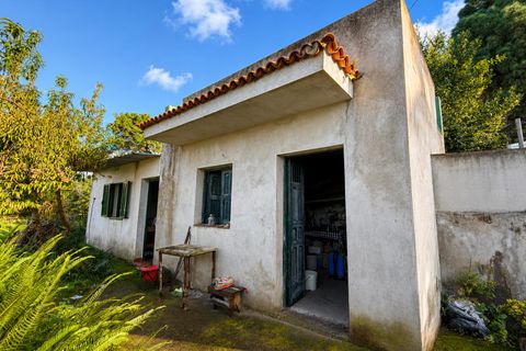 Finca in La Florida, Tenerife - Foto 2